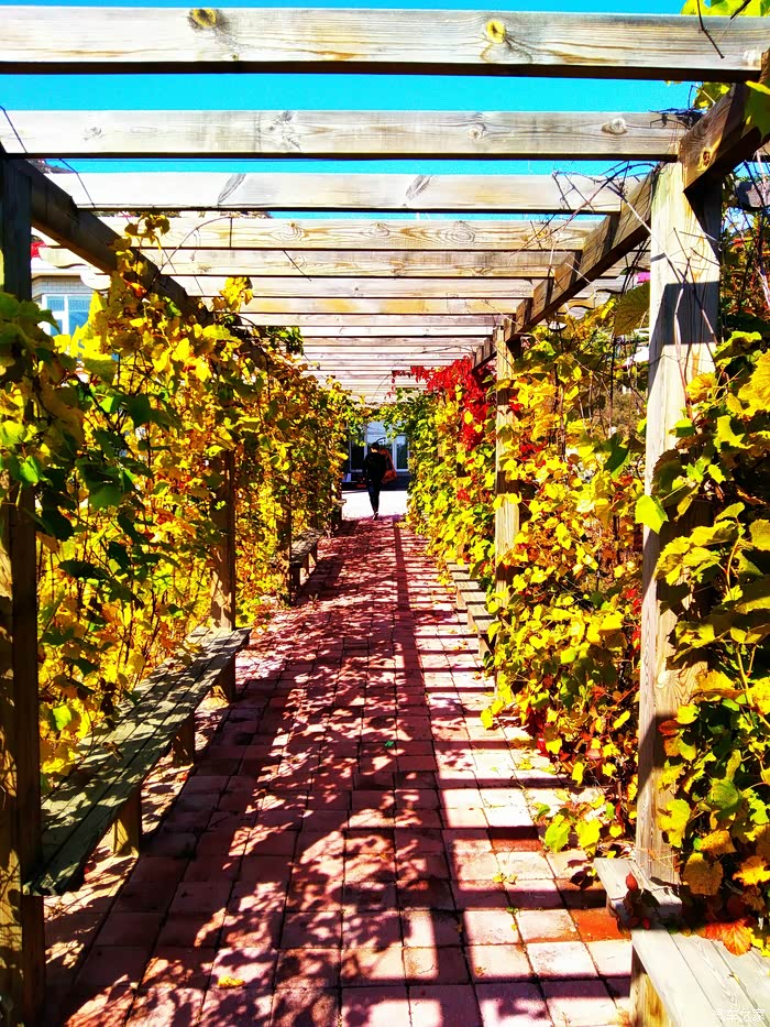 10月6日阜新宝力根一日游