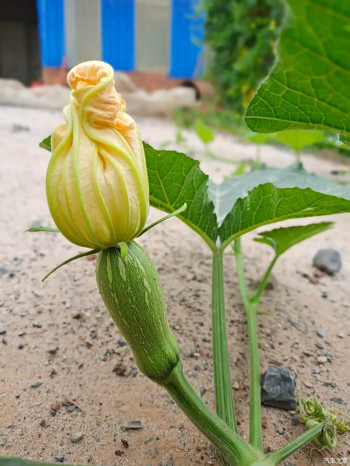 夏末秋初,风雨兼程,感谢有你——吉利博越!