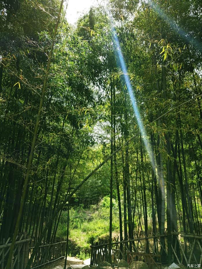 世界最长竹长廊 天籁大峡谷