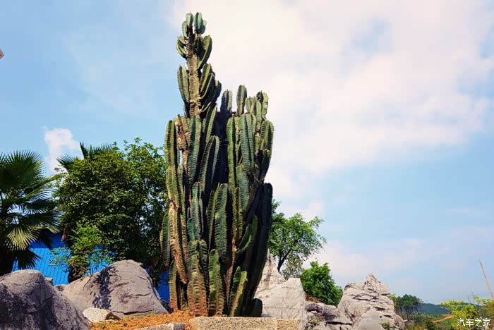 周末与朋友花果山生态园游玩记