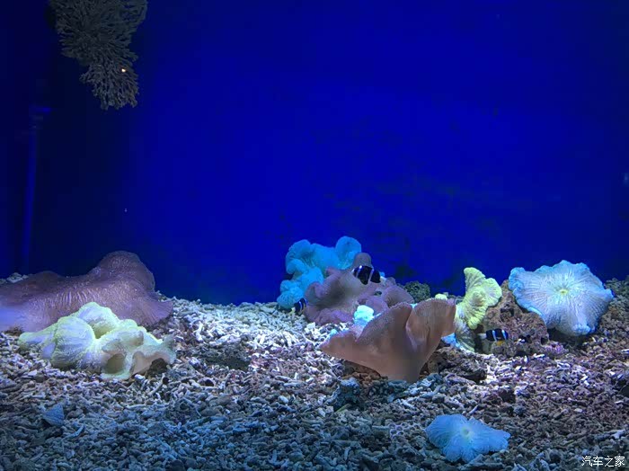 柳州北海自驾游记