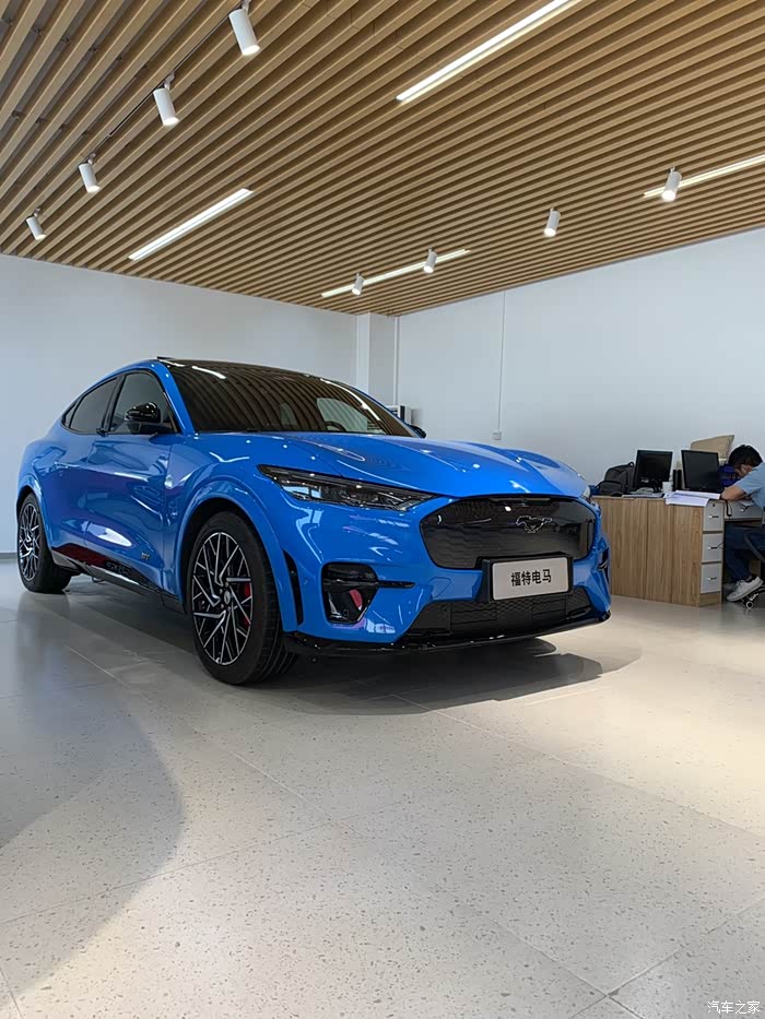 mustangmache多图实拍