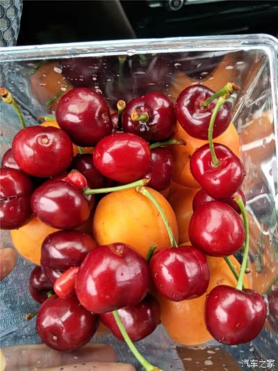 龙口市郊区路边买水果樱桃杏子都非常可口杏子2块斤又香又甜