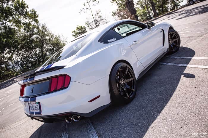 加州野马眼镜蛇shelby gt350特写
