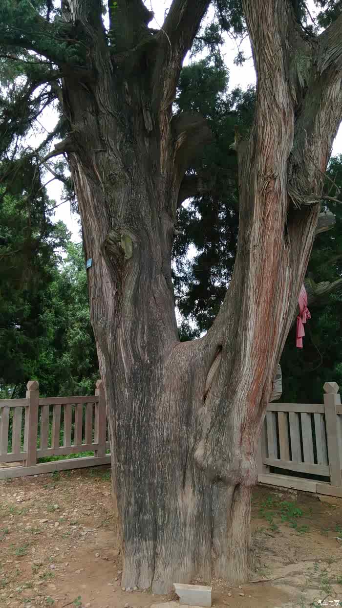 周末一日游(七曲山,翠云廊)