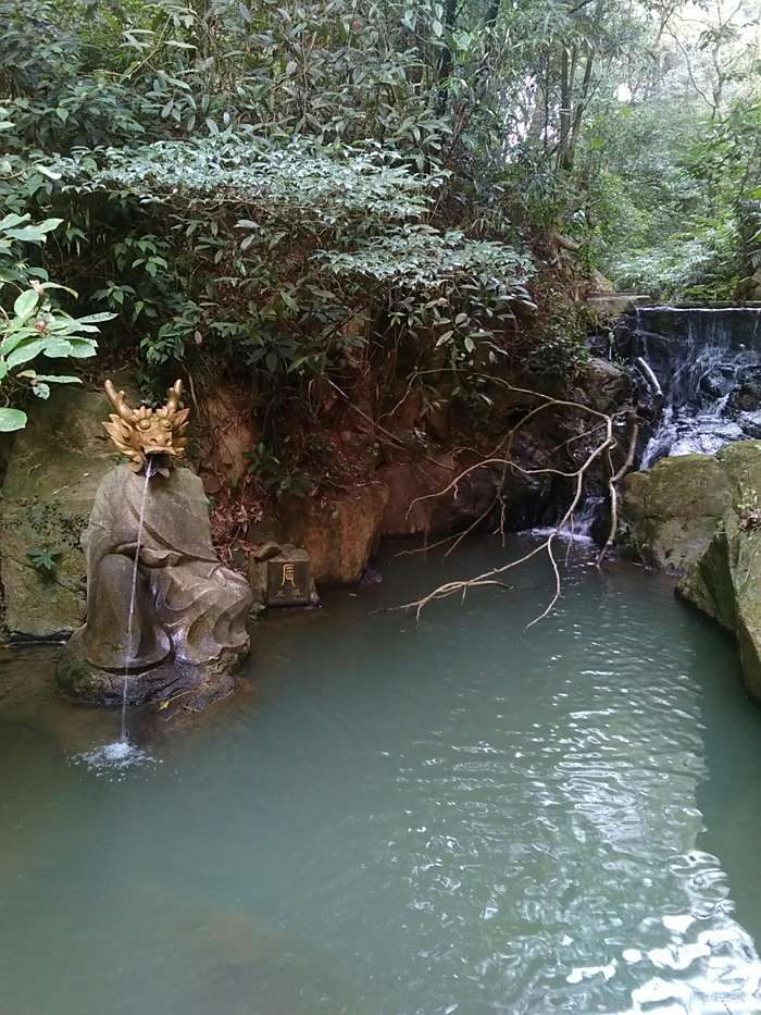 廈門同安金光湖一日遊