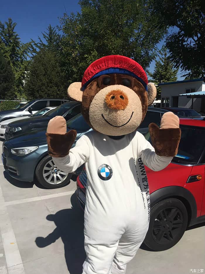 bava熊前来助阵!