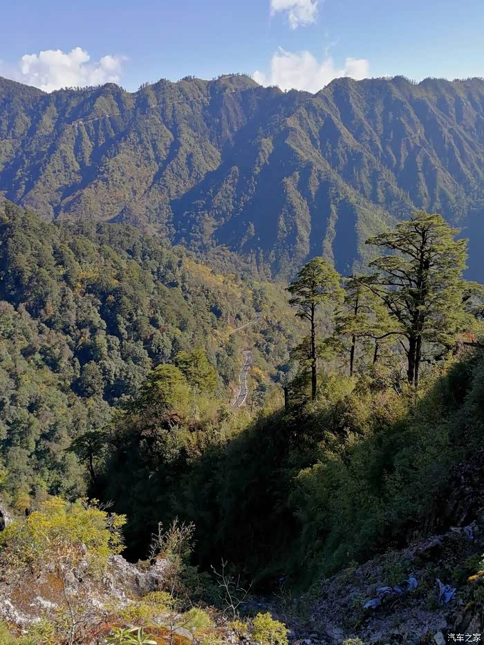 高黎贡山银霜白头
