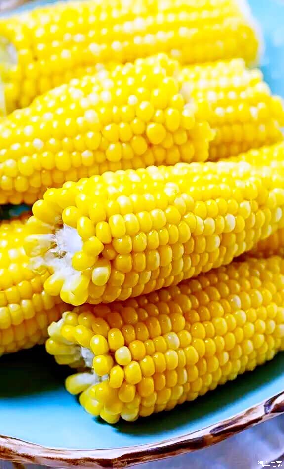 【战火燃擎 自驾游 逐鹿土门岭】待看叉司令军团千里大战黏苞米