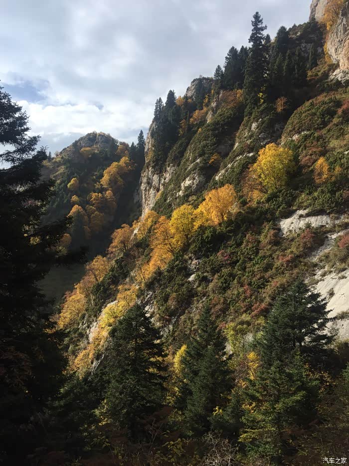 冶力关莲花山一日游