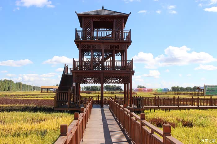 这就是位于乾安县大遐畜牧场推子分场的"稻语花乡"公园.木头栈道!