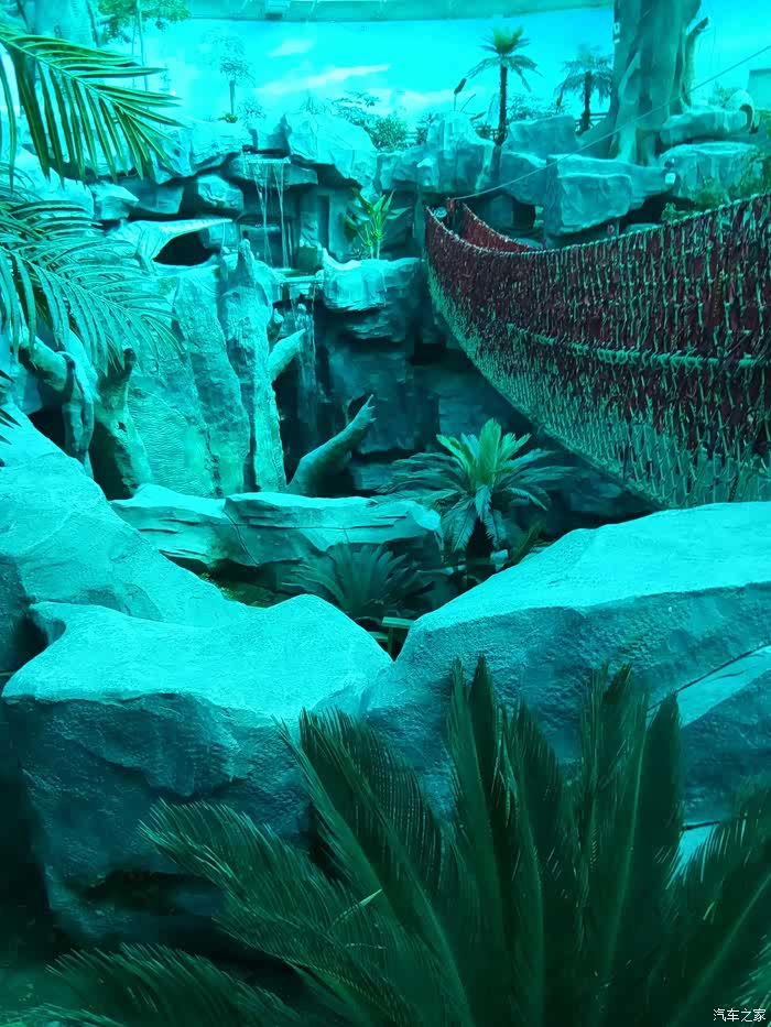 吉林市cs75车友会212中泰海洋世界一日游