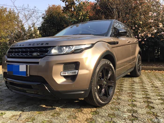 有没有人买棕色极光不是棕金是棕色