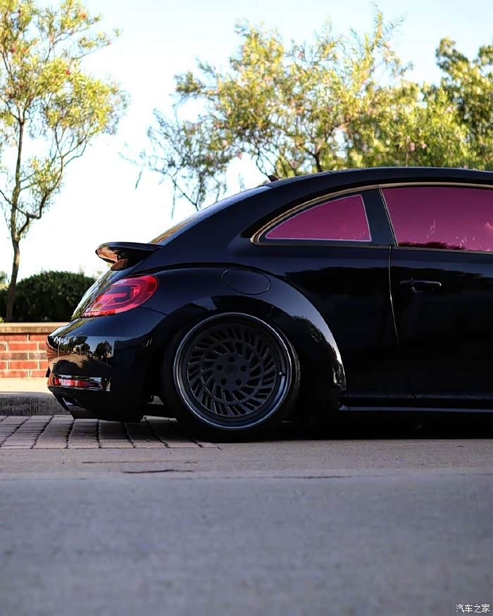 一枚漂亮的黑色甲壳虫