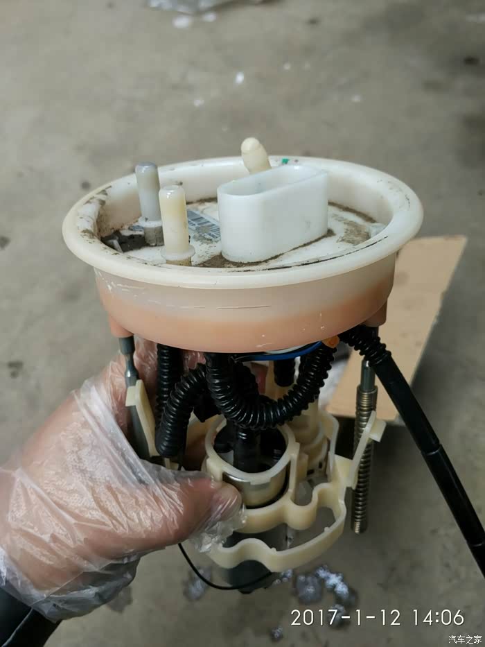 polo论坛_汽车之家论坛