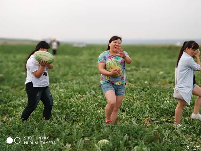 【陕西cs75车友会】128.偷瓜记