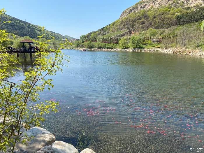 家门口的风景青山绿水长清湖