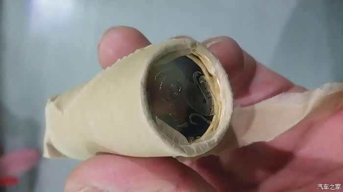 猴子币,猴子币.