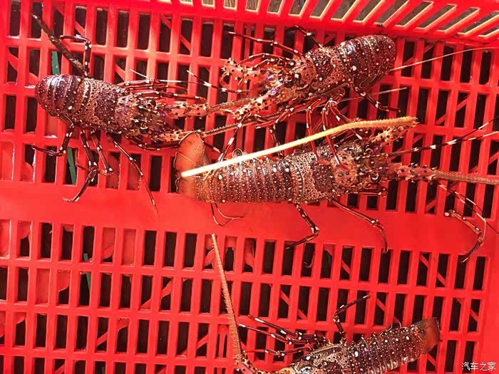 印尼图昂库岛之旅