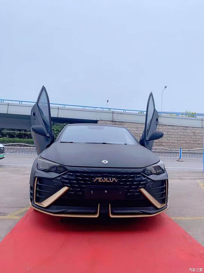 奕炫max蝴蝶门爱了