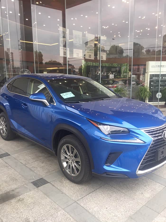 新款nx颜色 求助车友们