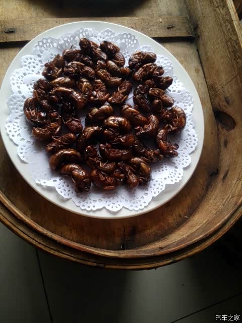 节流鬼,东西啊,你们那叫什么?