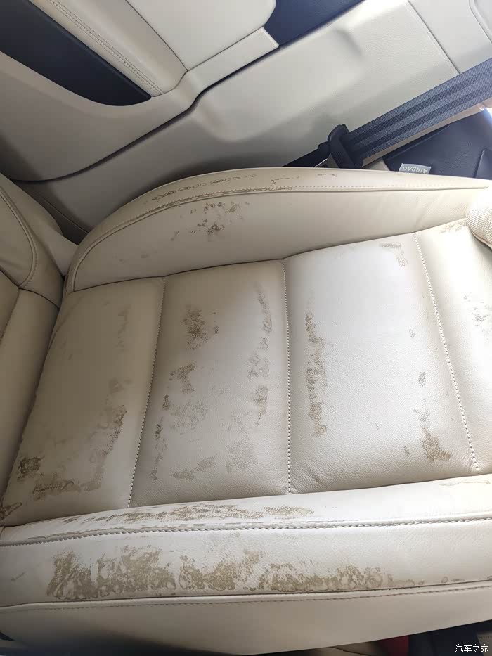 【图】急急急!!!高尔夫真皮座椅套坐垫被染色发霉,求车友们清洁神器_