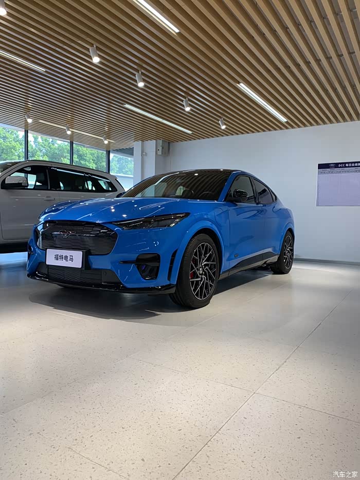 mustangmache多图实拍