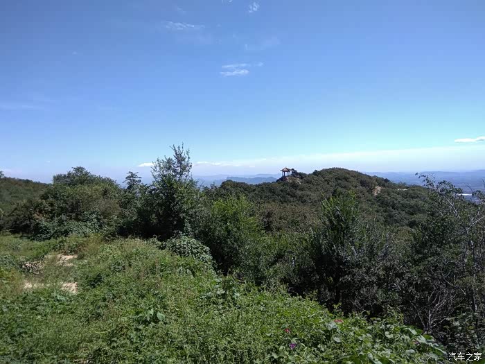 爬蓟县免费的山头黄花山