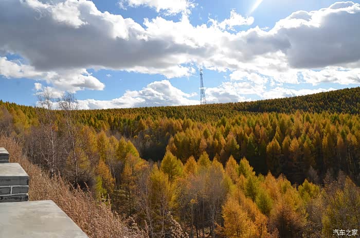 二屌欢乐坝上游照相水平差请海涵