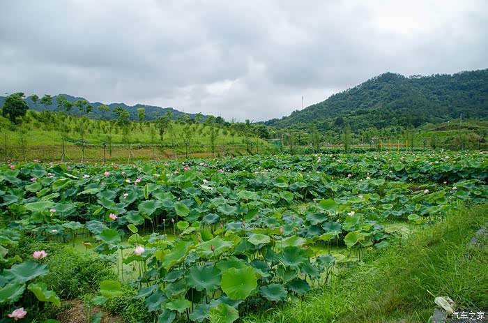 义乌美丽乡村曹村一日游