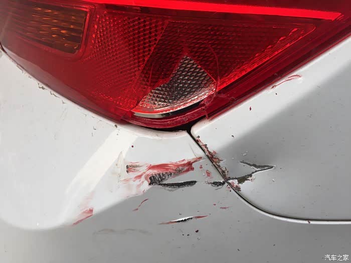 还未满月,却伤痕累累,心碎的小科.