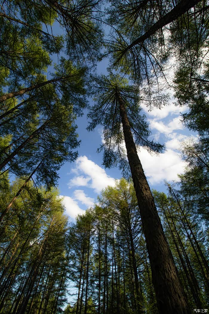 9天4800公里自驾内蒙,最美阿尔山