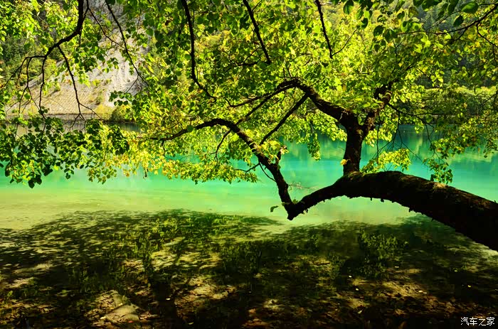 【图】人间仙境九寨沟_河南论坛_汽车之家论坛