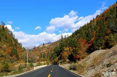 再放点毐 , 带您去看雅克夏雪山国家森林公园的五彩林