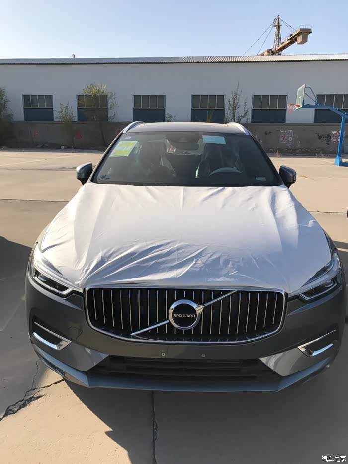 请问论坛里有没有朋友有幻夜银的照片?