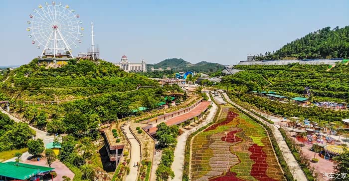 恩平花海欢乐世界