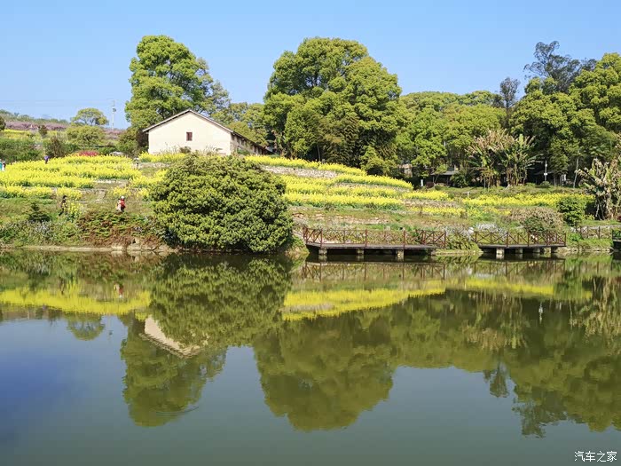 老彭西山坪苓茏苑找春天