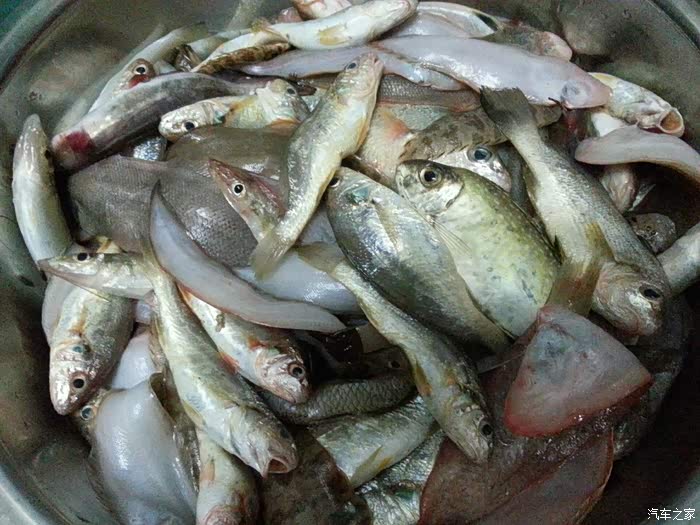 花冠两年半谈谈体验