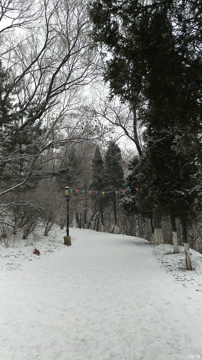 高尔山雪景图片