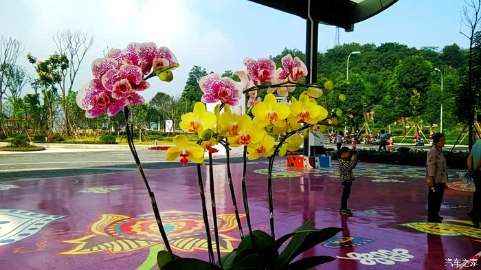 兰花科技园一日游