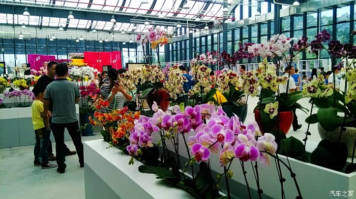 兰花科技园一日游