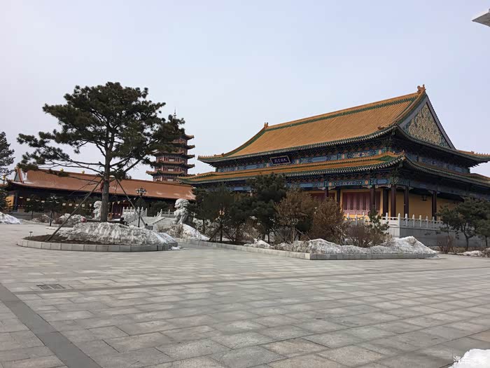 积分大放送缘遇普门寺