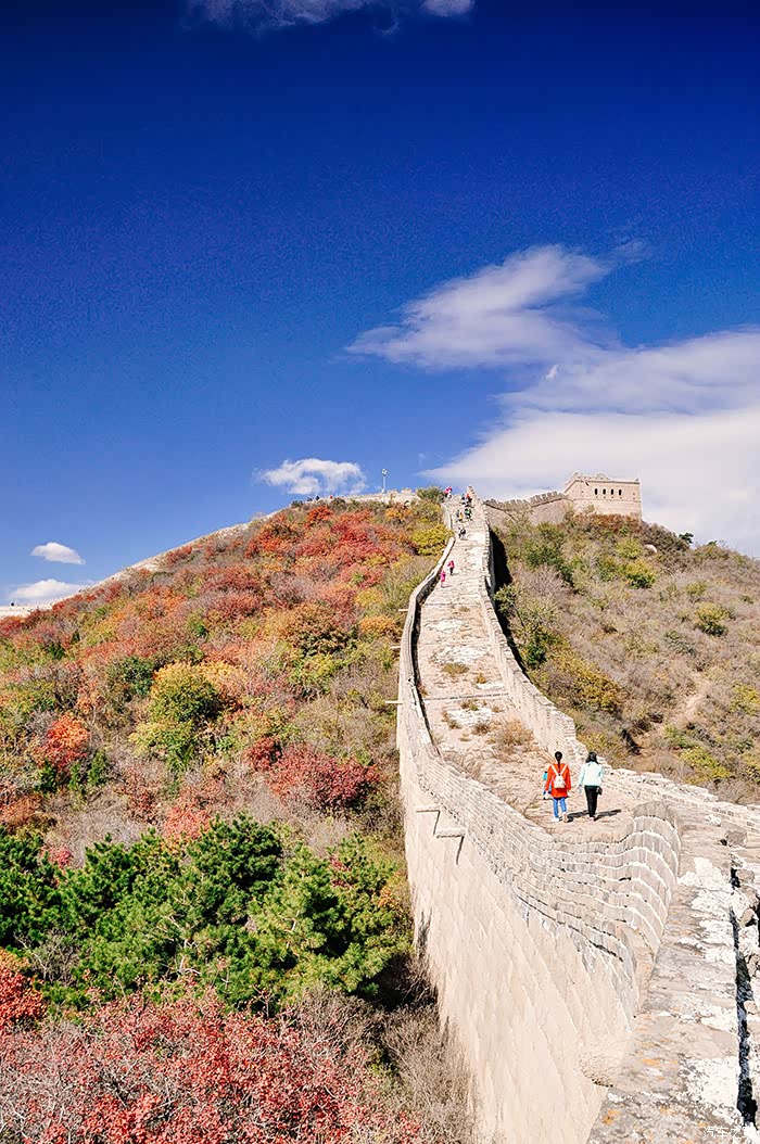 雷诺卡缤杯我眼中最美的风景北京之秋