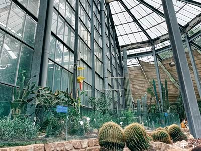 【三月大征集】春日限定,闯入武汉植物园里的绿野仙踪