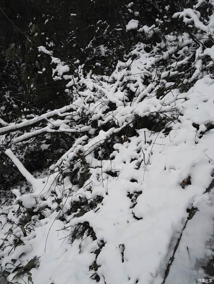 明天去黑山谷耍现在下雪没有