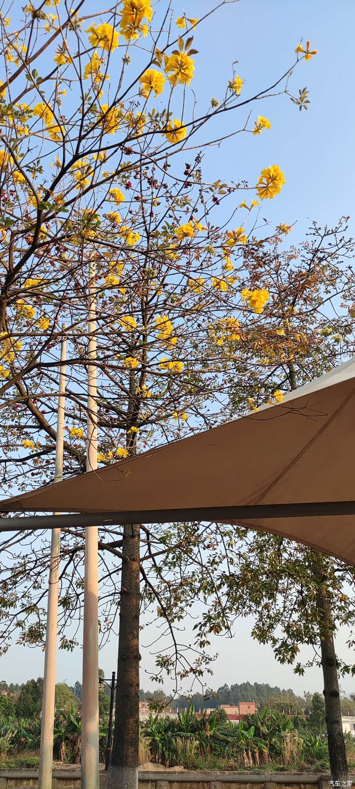 忙里抽闲,打卡南海花卉城