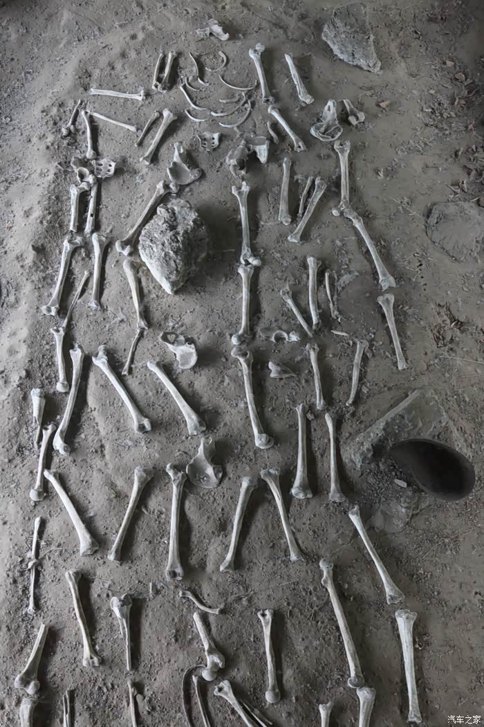 展馆地下透明玻璃展示的真实的白骨.