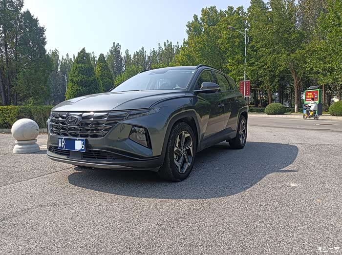 途途是道胜利在望 一 途胜