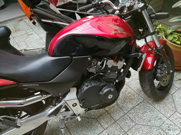 本田小黄蜂cbf250